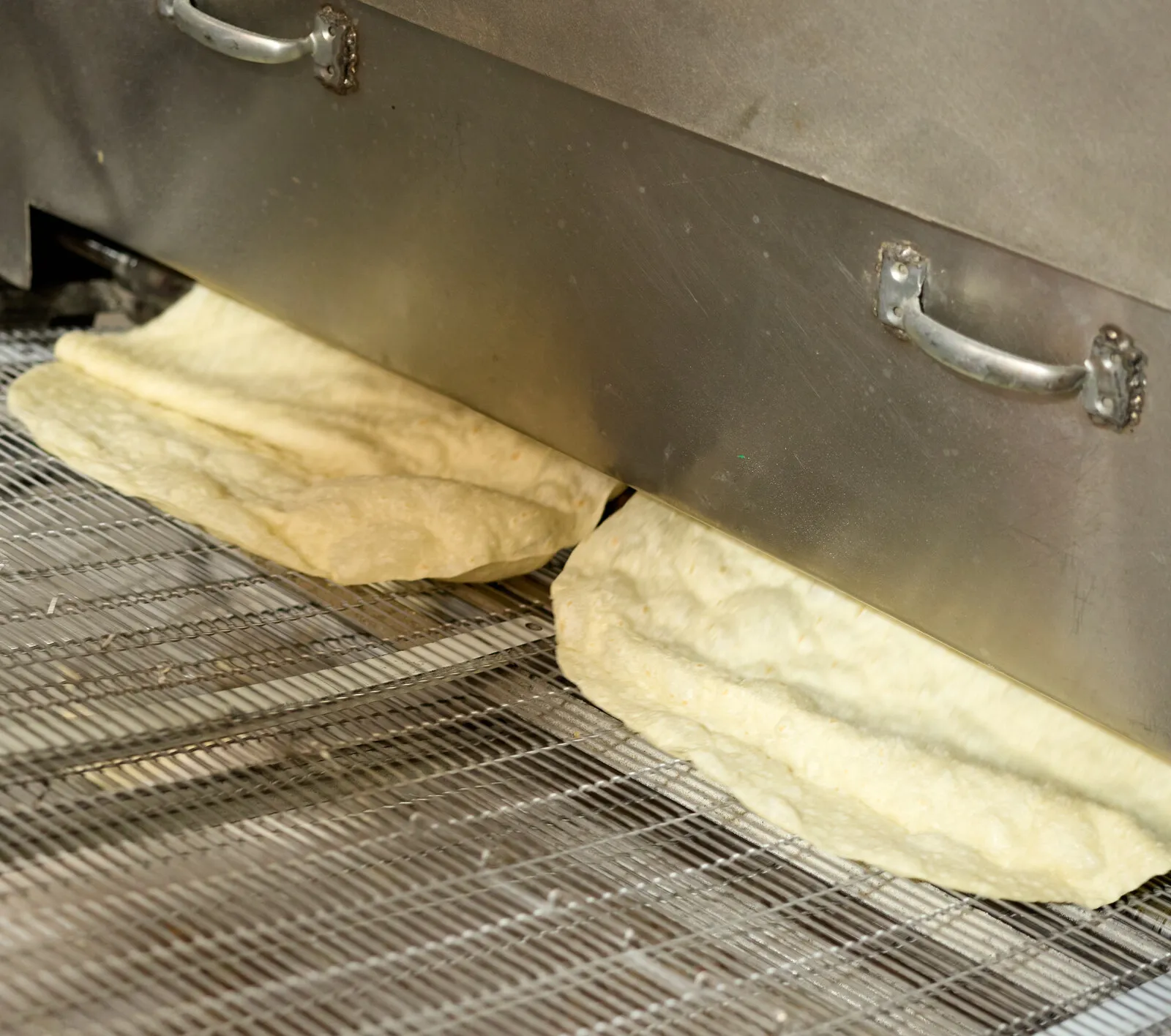 Tortillas coming off the line onto the wire belt